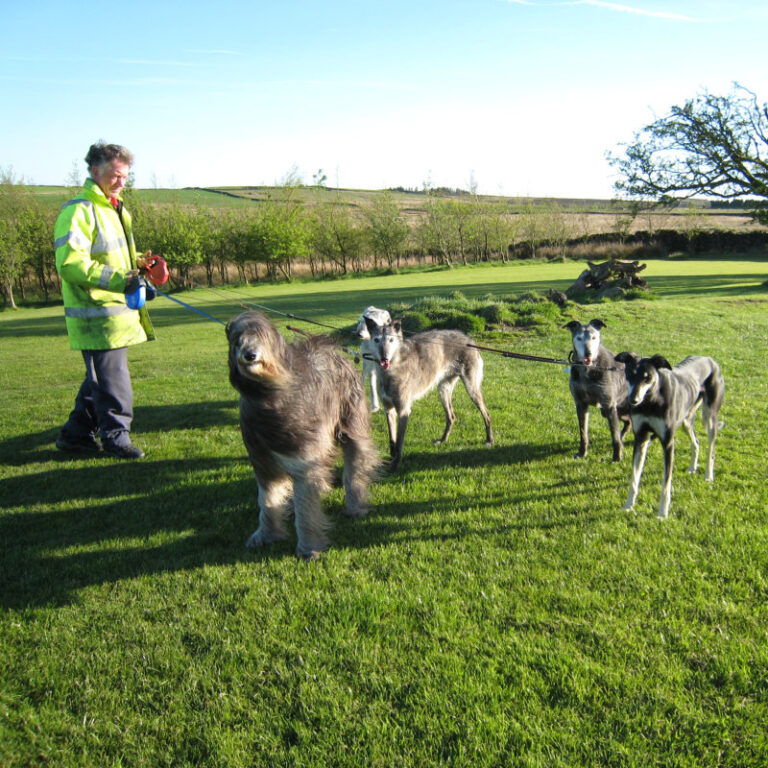 Moorside Boarding Kennels and Cattery Moorside Kennels and Cattery
